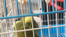 988c470fc2ab89761b79262ba957c2cf24a81ae2.jpg@280w_158h_1c_100q.jpg