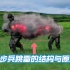 3D动画展示反步兵跳雷的结构与原理，令士兵闻风丧胆是有原因的