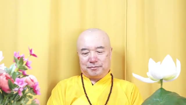 谛深大师如果宿命论就不用修了