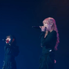 REIRIE / Doggy Girls / 2024.12.28 TOKYO DOME CITY HALL LIVE Ver