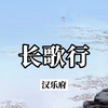 【诗词欣赏】汉乐府《长歌行