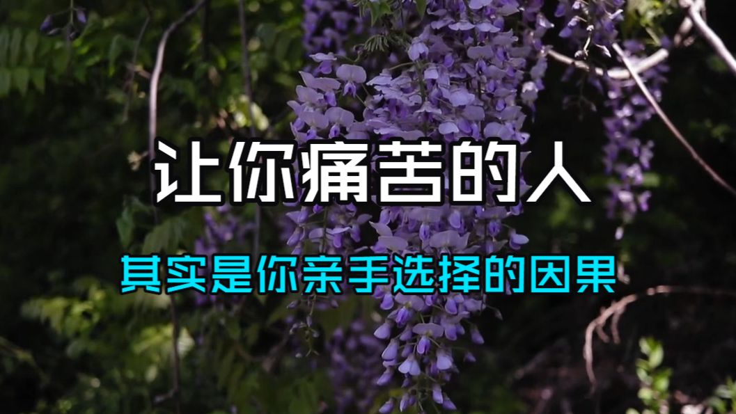 佛说：让你痛苦的人，其实是你亲手选择的因果！