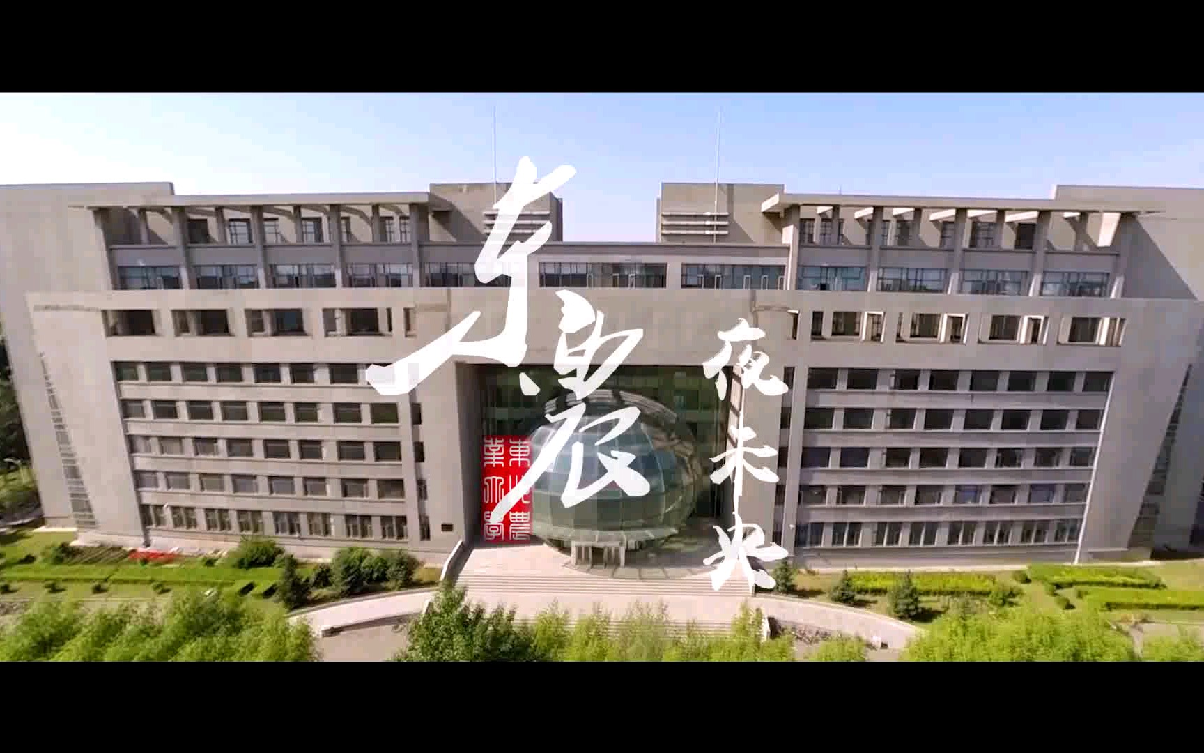 mv 凉凉 东农夜未央 东北农业大学 校园风光