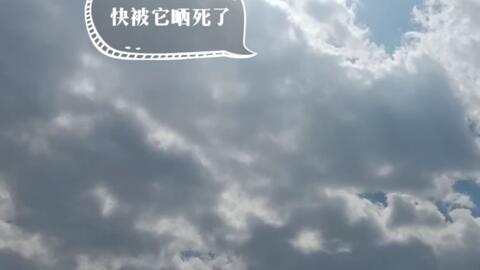 98d5eab2bee67e27b5a61b63cd70792e0198dca1.jpg@480w_270h_1c