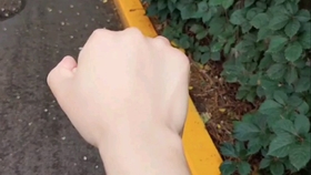 98e01cf881d6037e0592f6482b662df7cfc1843b.jpg@280w_158h_1c_100q.jpg