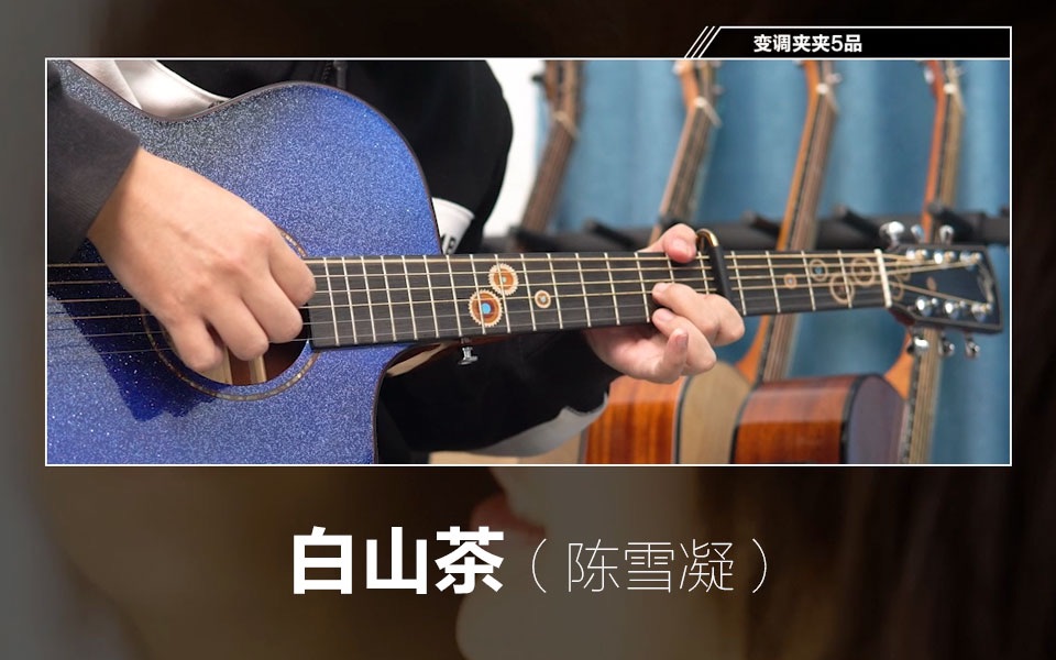 陈雪凝 白山茶 指弹片段 简单的吉他练习曲 木吉他学习带谱子