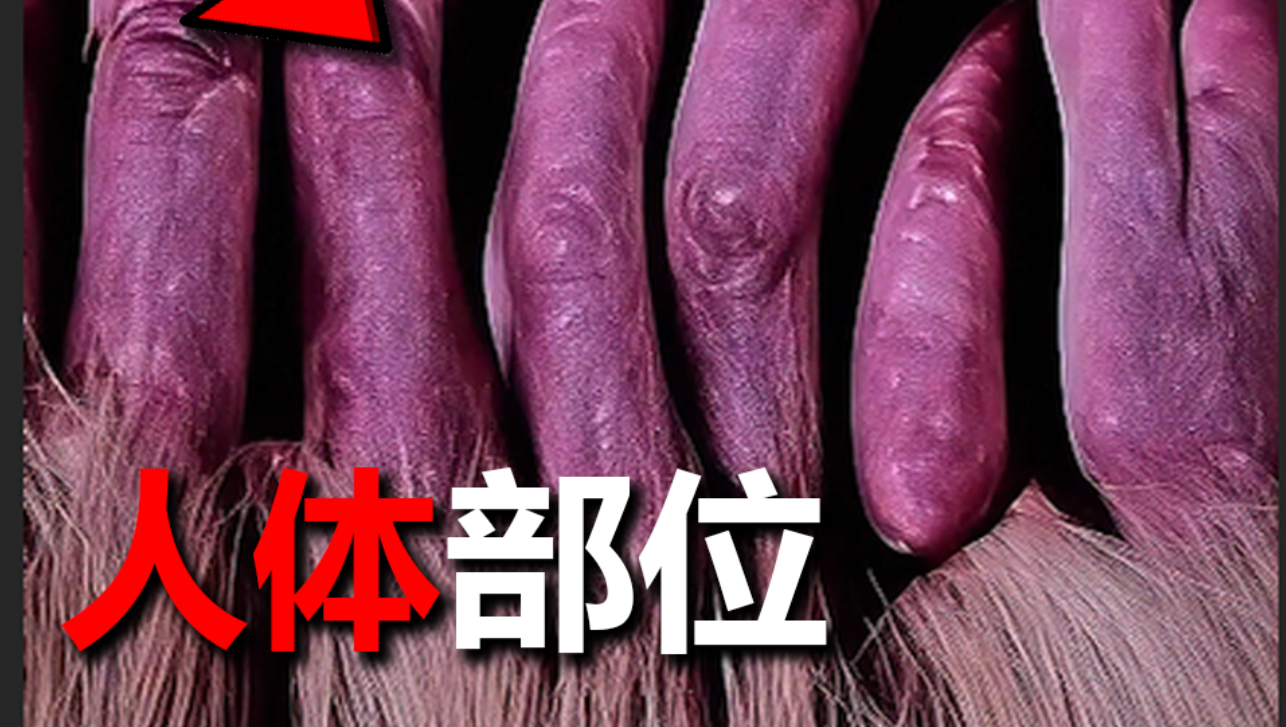 这是你的身体