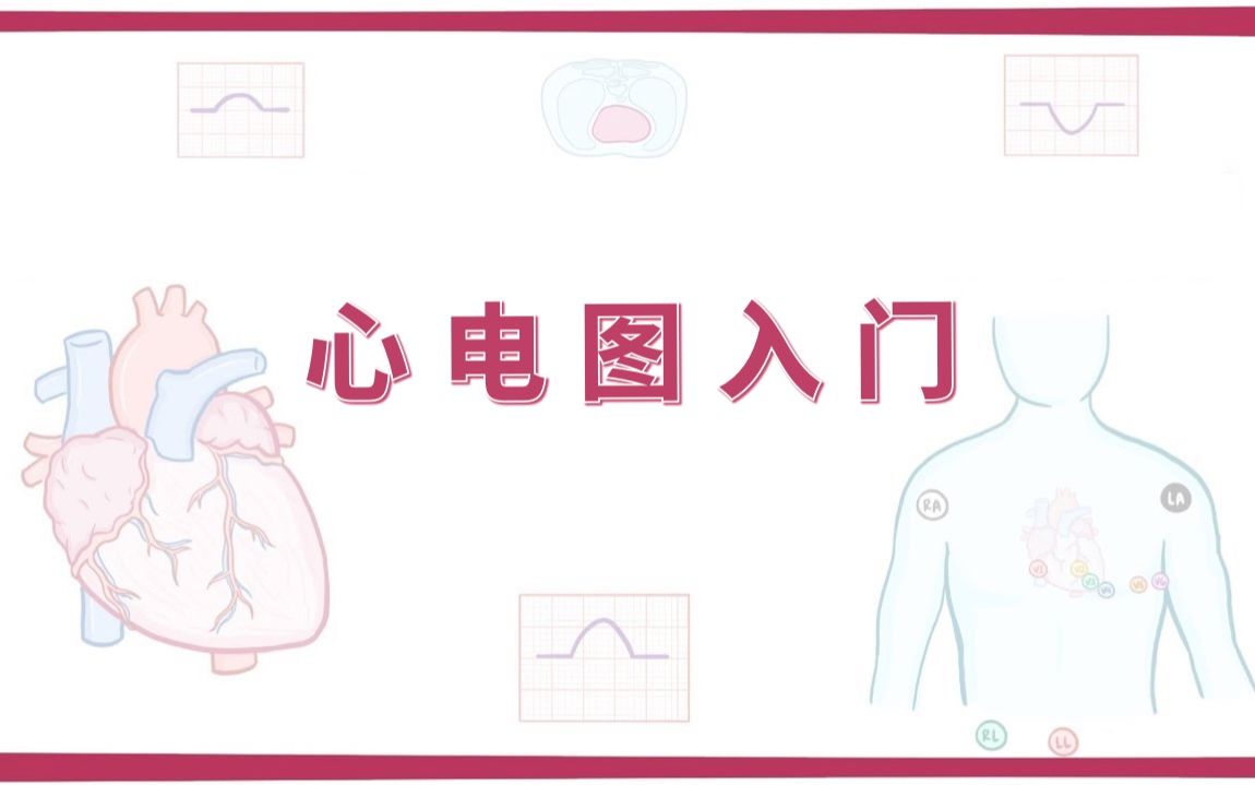 【Osmosis】心电图基础 ECG Basics（中英字幕）
