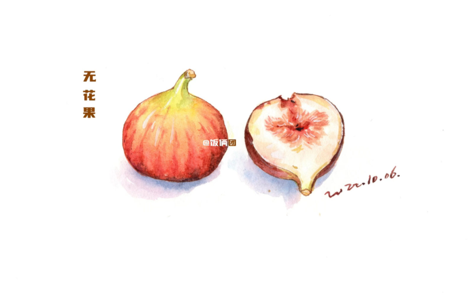 手绘水彩无花果教程