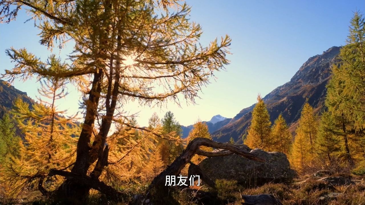 你之所以一事无成，竟然是因为你太努力了？这就是为什么儒释道三家都在说我们活反了！