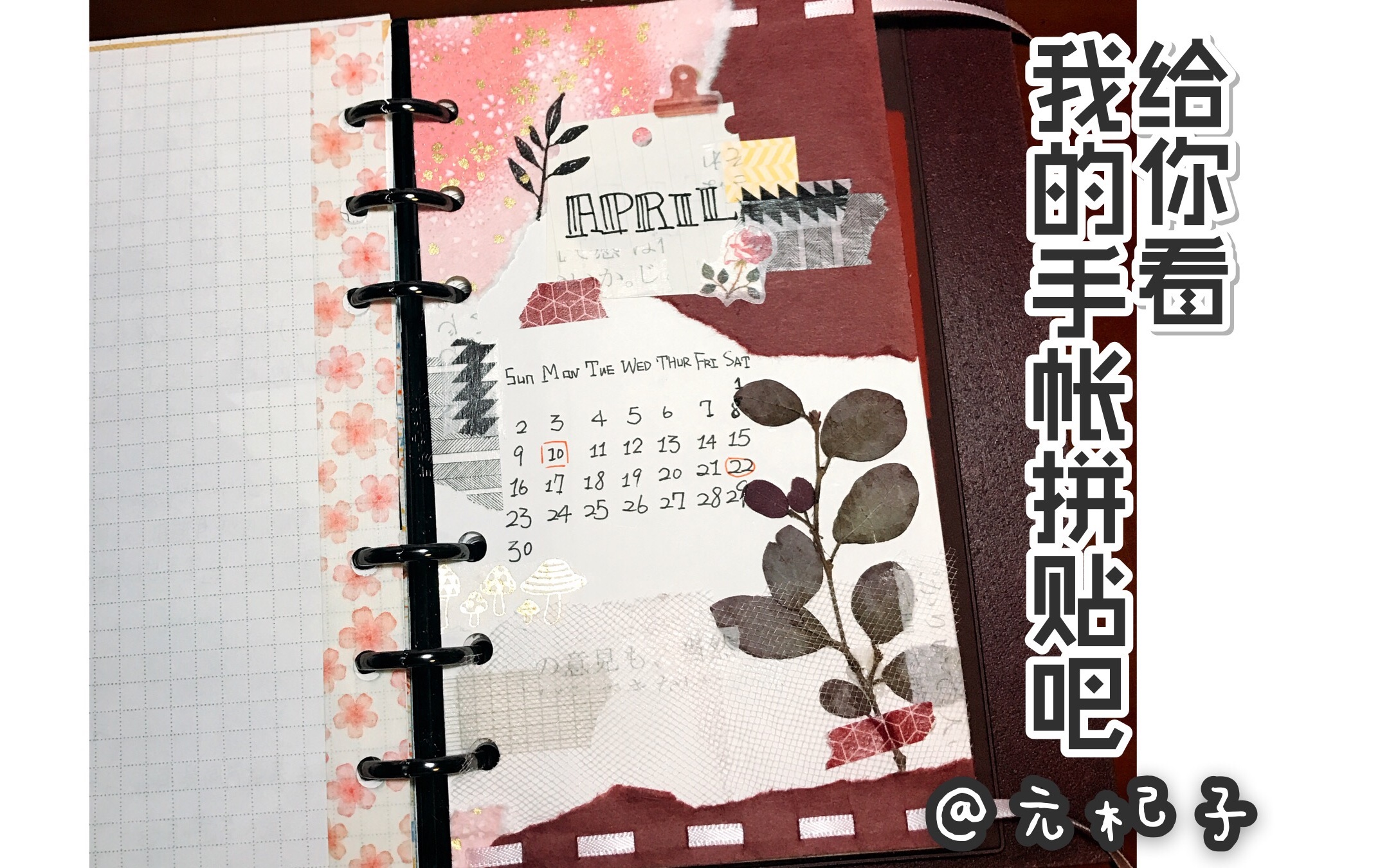 〔元杞子〕手帐拼贴-四月扉页-樱花开啦!
