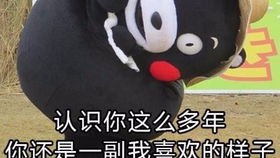 99837bc4d486a3bcad66c71acaed79ecb9b0ba7e.jpg@280w_158h_1c_100q.jpg