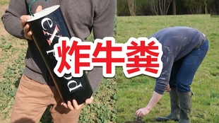 99cca6f9aecab4a3d48e5e41a290371b8bac9364.jpg@310w_174h_1c_100q.jpg
