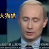 年轻时的普京(´▽｀)ノ