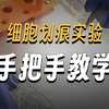 手把手教你细胞划痕实验