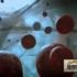 纪录片-《病毒与人体细胞大战》