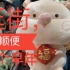 vlog-一起逛街吧-大悦城是杭州最好逛的商场-吃吃喝喝的假期第一天