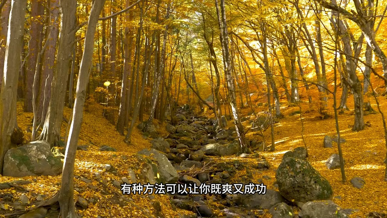 如何才能让自己快乐的走向成功呢？99%的人都误解的一个真相：痛苦并不是走向成功的必需品