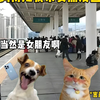 当我妈得知我带女朋友回家时