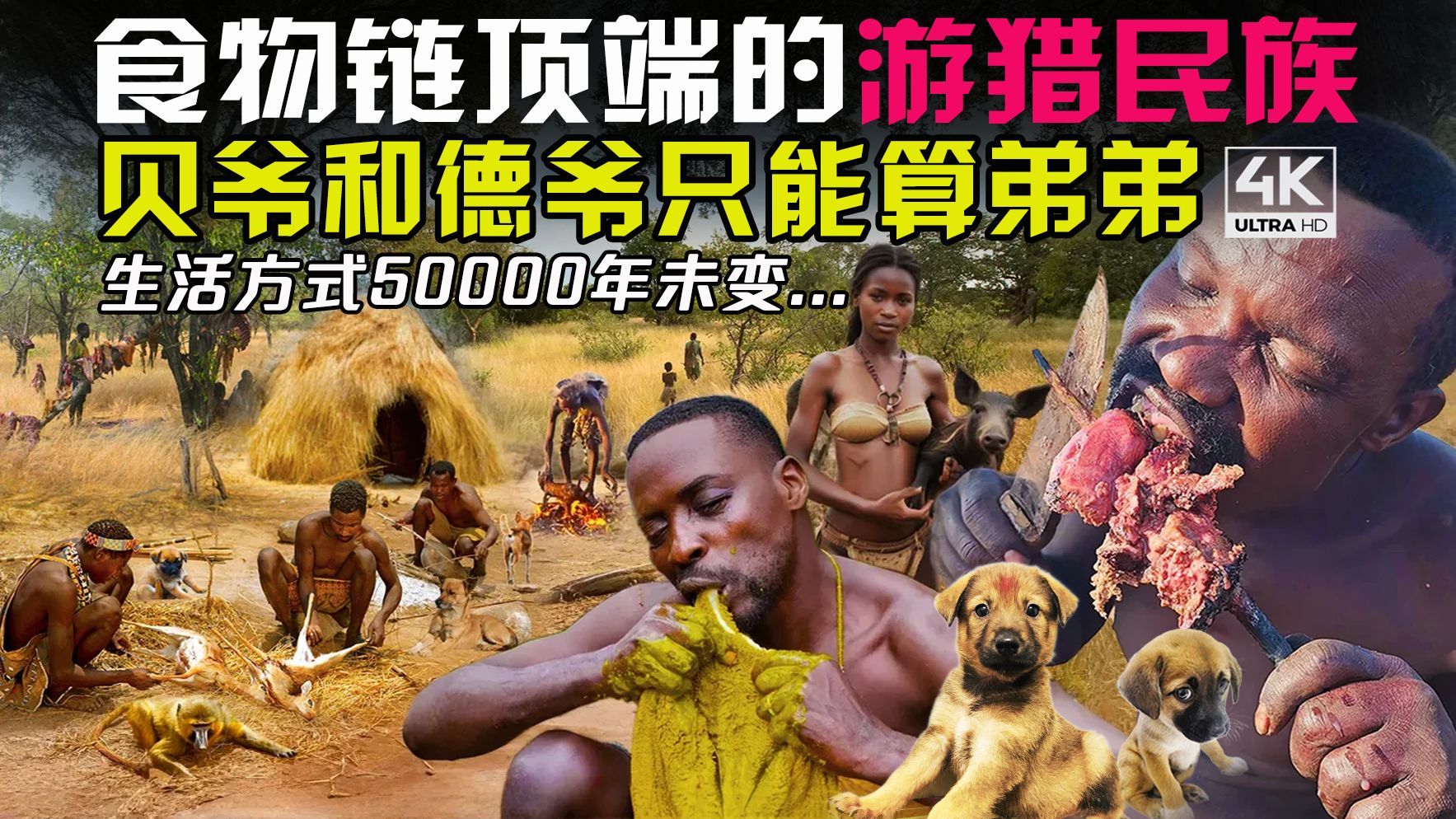 哈扎人：世界最后以狩猎为生的土著部落，生存方式太硬核！爆肝1万字！探秘非洲哈扎比部落 ，边缘纪录片