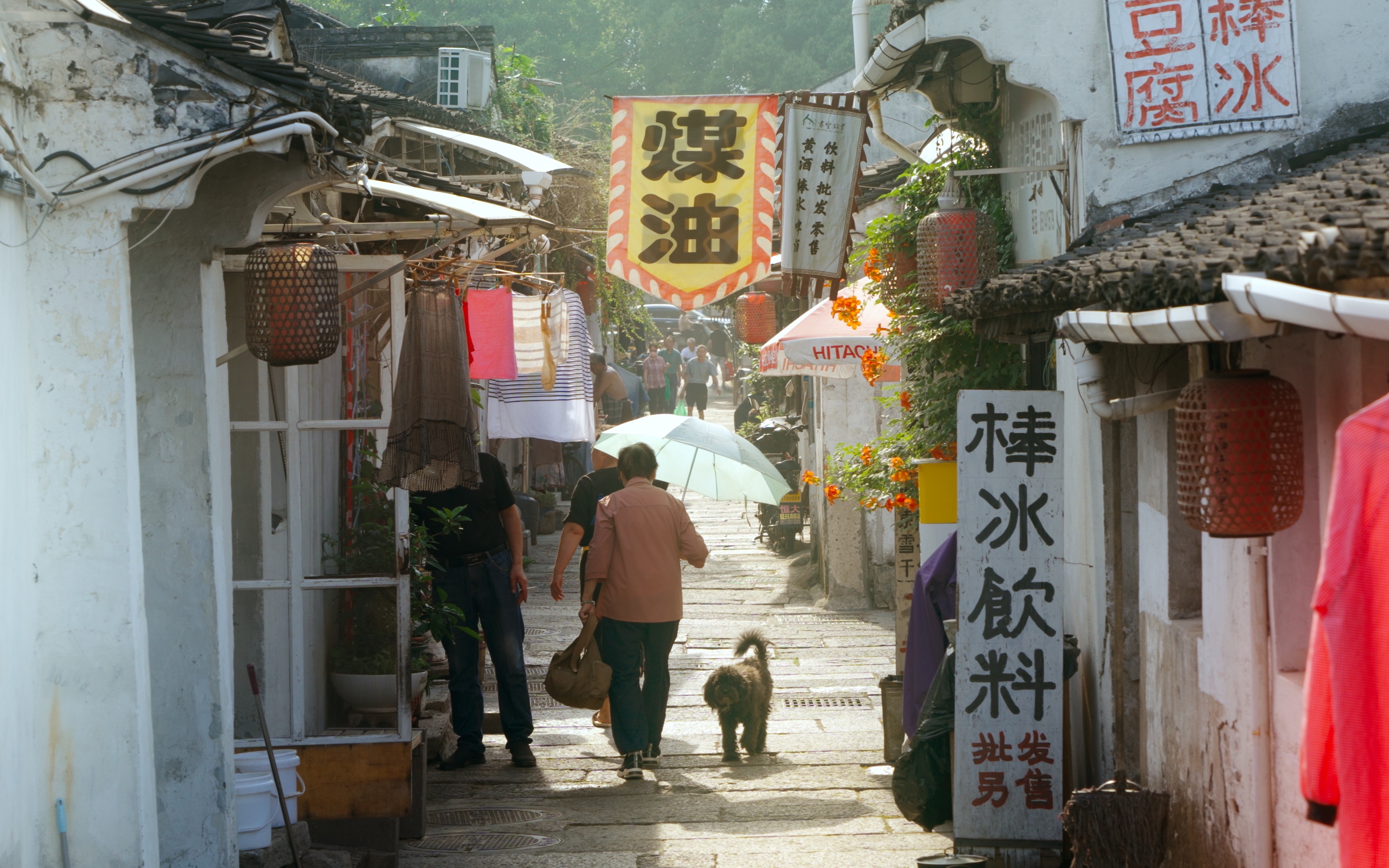 阳光下的老街，像是动漫里的画面｜书圣故里