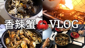 9a2c49d8a0f193655551d3b6e34aae99624dd8b7.jpg@280w_158h_1c_100q.jpg
