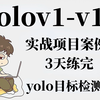 【YOLO算法实战案例】100个练手项目合集，三天练完，练完即可就业！还不拿下 ！！！（很少有人可以把计算机视觉目标检测YOLOv5讲的如此通俗易懂了