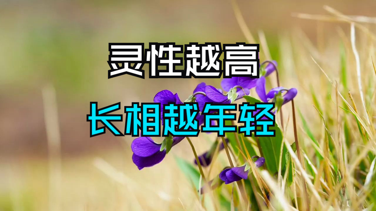 灵性越高，长相越显年轻，这是老天对天选者的偏爱！