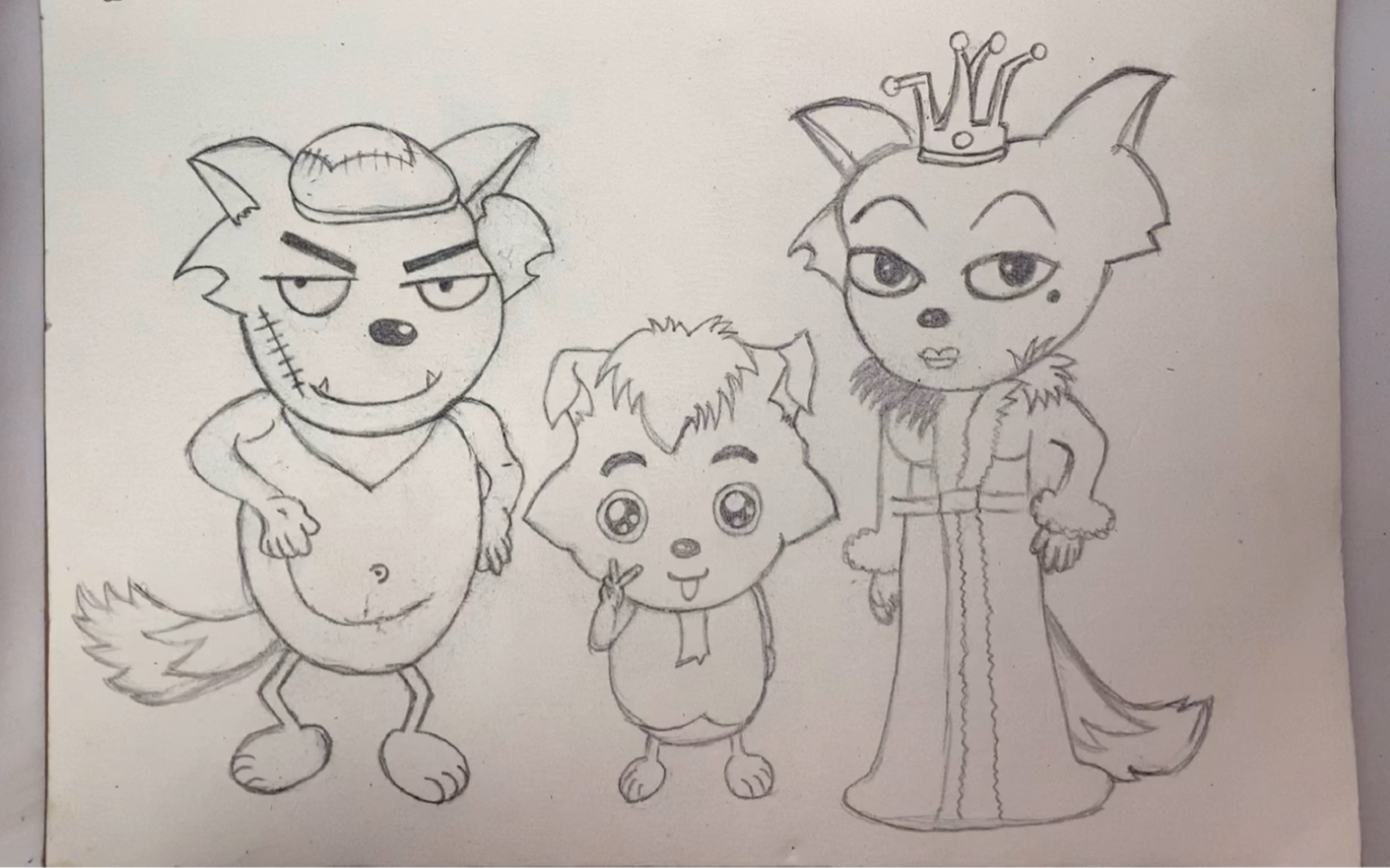 小灰灰一家