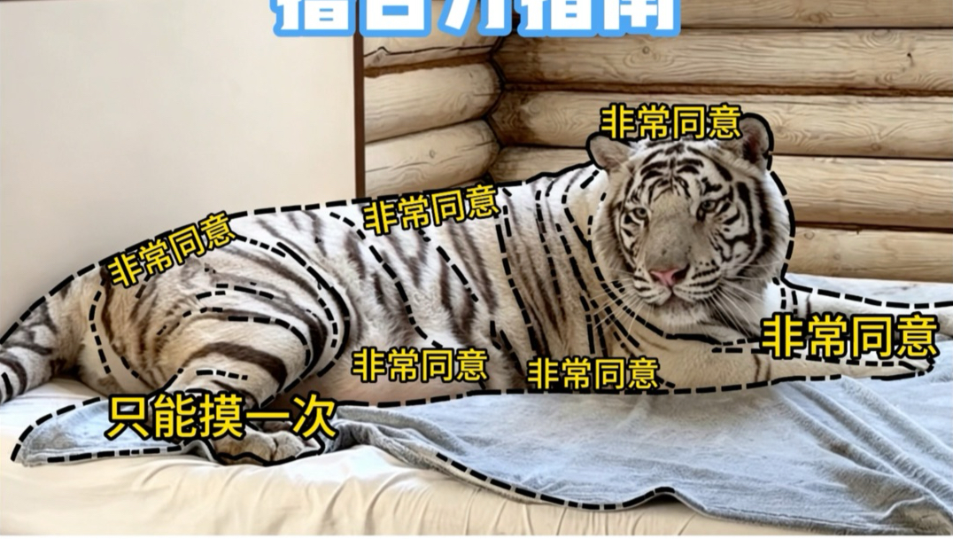 撸百万教程