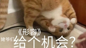 沈以诚椿简谱_椿简谱