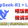 【秒懂教程】30分钟学会DeepSeek R1模型Lora微调训练，适合借鉴学习，保姆级教程，全程干货无废话，草履虫都能学