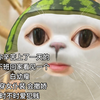 【第四爱】这谁不疯狂心动呢