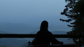 猿鹤双清曲谱_猿鹤双清古琴谱