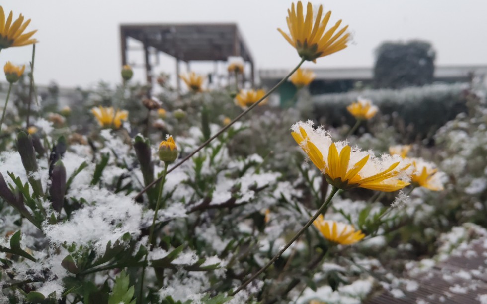 雨雪霏霏 ~ 电子科技大学清水河校区哔哩哔哩bilibili