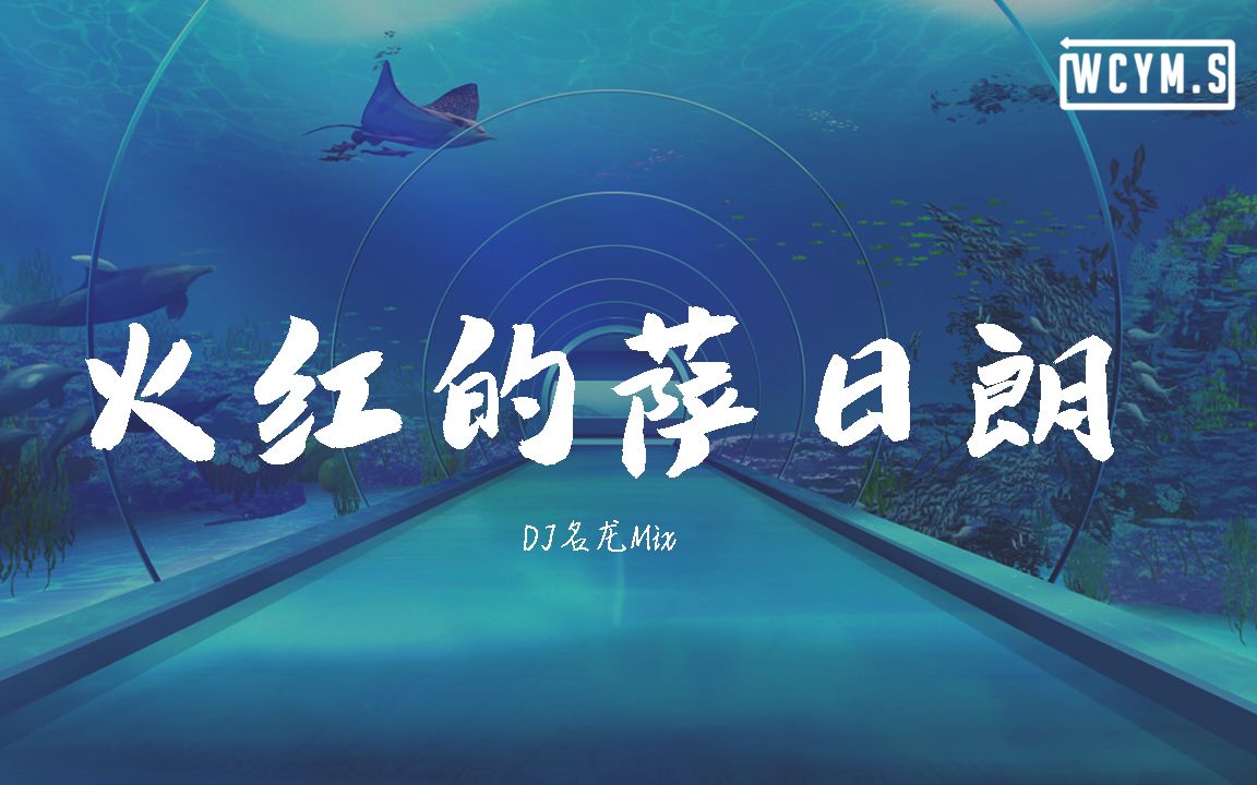 要不要买菜火红的萨日朗dj名龙mix动态歌词lyricsvideo