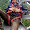 外国人看中国工人高空作业 欧美人自己的思想宝库 评论区大儒辩经 评论翻译 彩色弹幕化