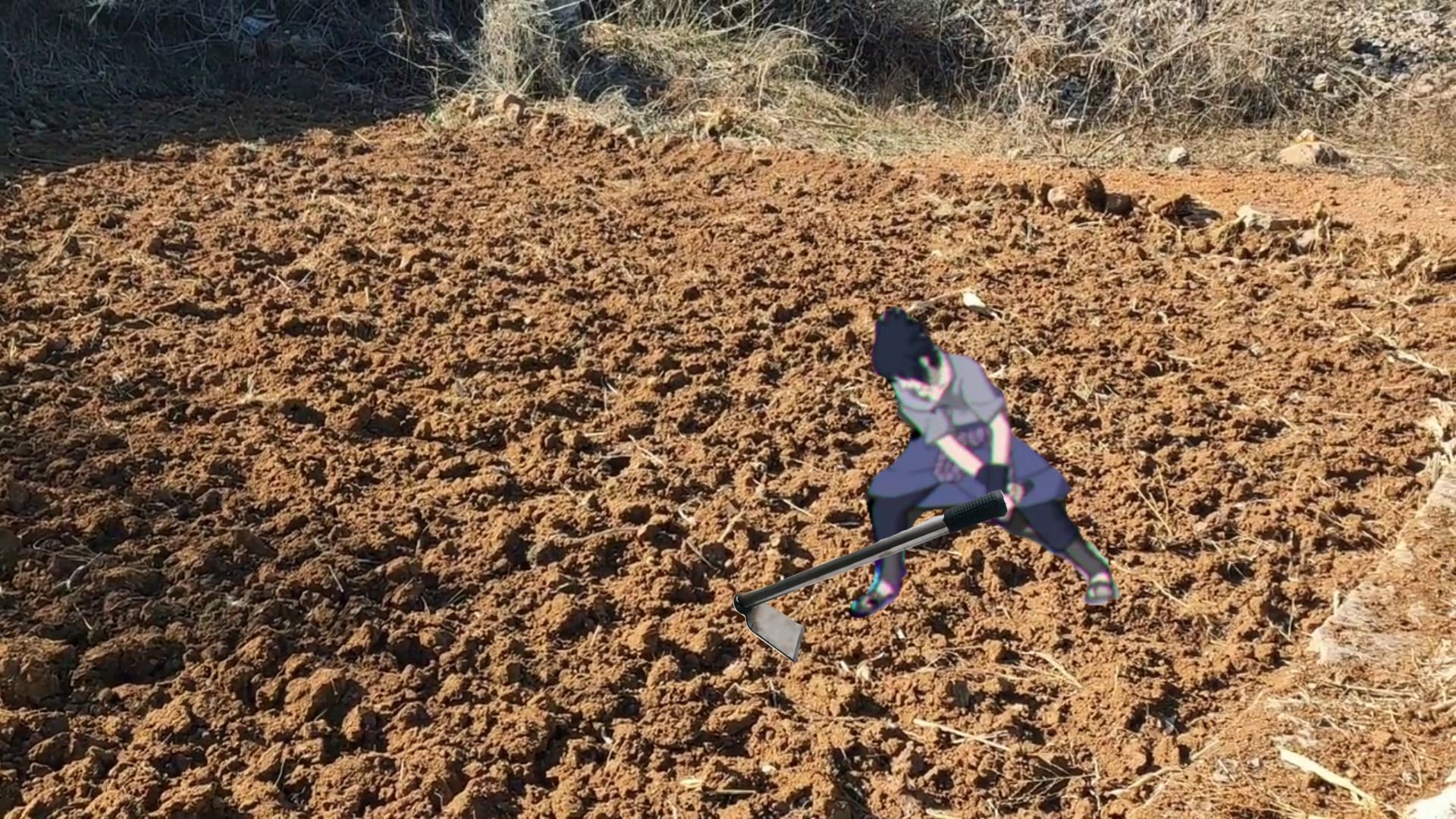永佐种地教学