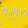孕周记（孕四周上