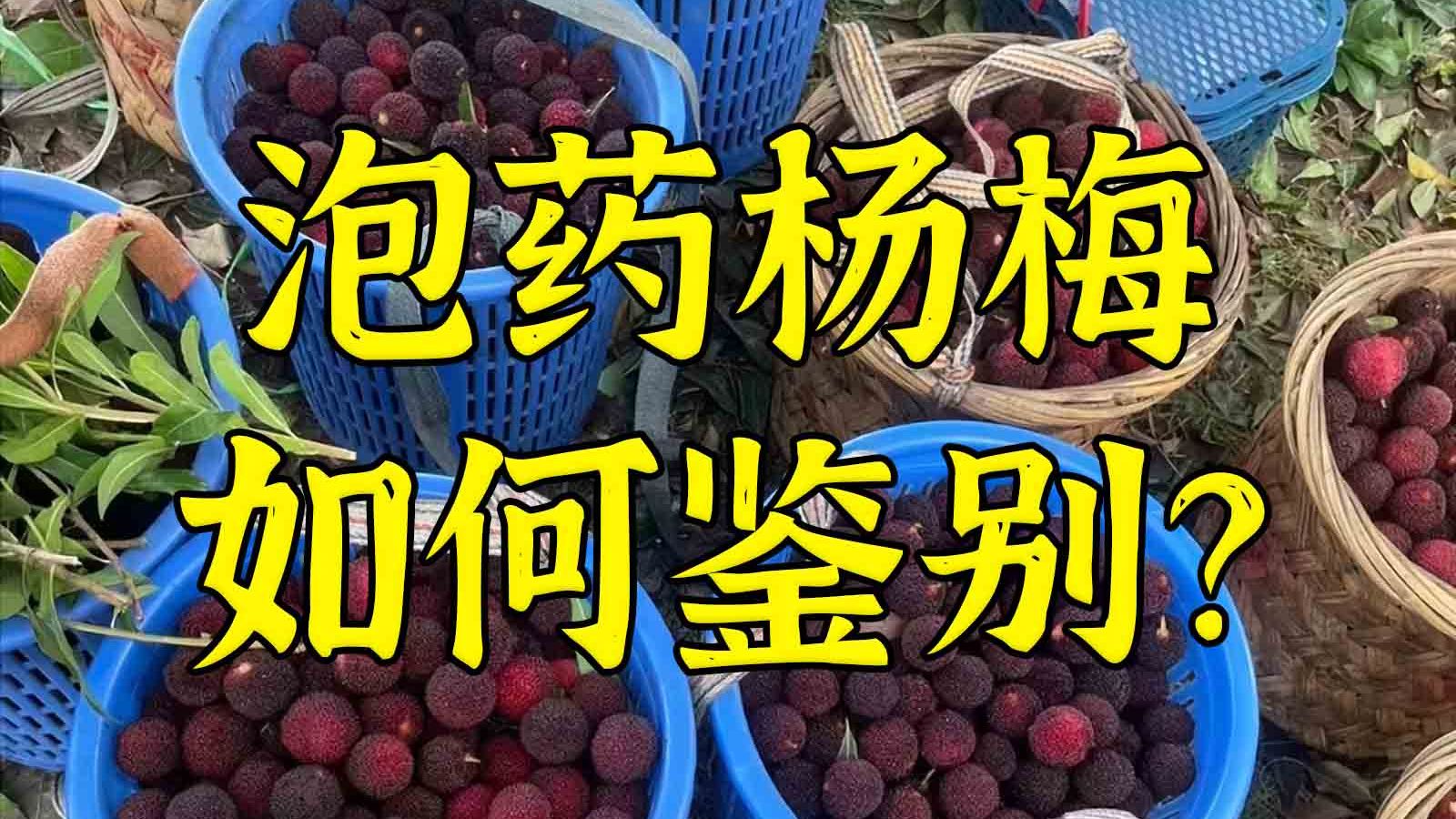 起底泡药杨梅：消费者保护自己的必备知识