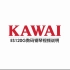 01-面板介绍 KAWAI ES120G数码钢琴视频说明书