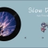 日推歌曲|“we slow down”《Slow Down》