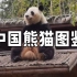 中国熊猫图鉴
