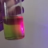 叶绿素荧光反应
