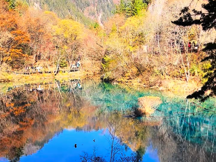 #山水如画 ～四川阿坝州九寨沟景区之火花海风光