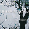 沈娇娇，下次再见