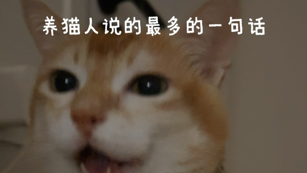 你想要干嘛 你说话呀