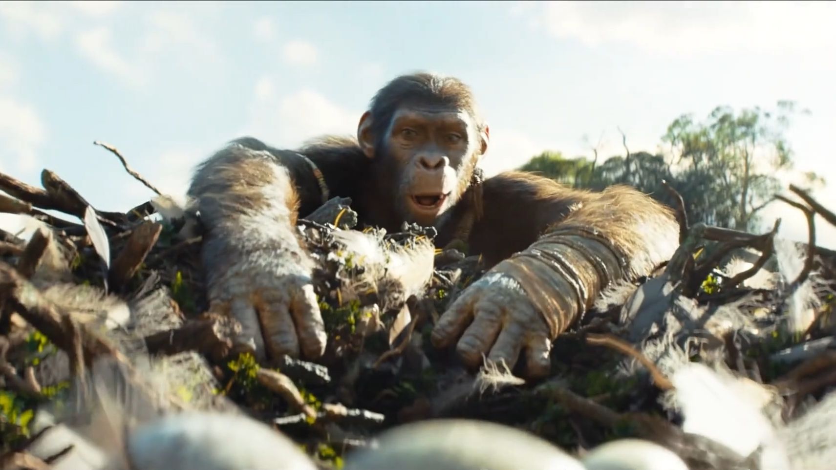 猩猩随手拔出一根生锈的钢筋，毫不迟疑跳向对面的悬崖《猩球崛起》