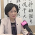 独家专访叶刘淑仪：香港非法暴力活动持续 证明推动23条立法迫在眉睫