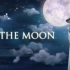【去月球/To The Moon】真结局、全剧情全DLC、全收集、全程无伤通关流程攻略合集